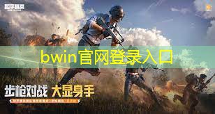 bwin：经典3d横版战机游戏推荐